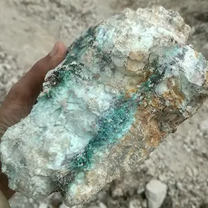 درباره زمین هوش